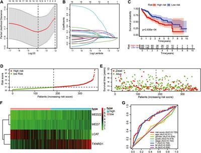 Identification of lipid metabolism-associated genes as prognostic biomarkers based on the immune microenvironment in hepatocellular carcinoma